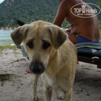 фото из отзыва ID 307703