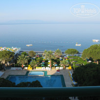 фото из отзыва ID 307728