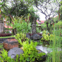 фото из отзыва ID 307922