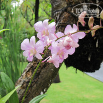 фото из отзыва ID 307922