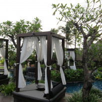 фото из отзыва ID 307933