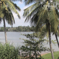 фото из отзыва ID 30856