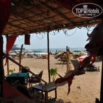 фото из отзыва ID 308095