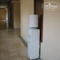 фото из отзыва ID 308259