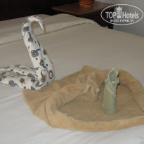 фото из отзыва ID 308259