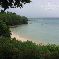 фото из отзыва ID 308454