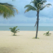 фото из отзыва ID 308799