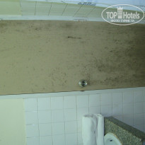 фото из отзыва ID 308811