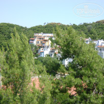 фото из отзыва ID 309340