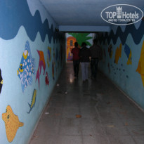 фото из отзыва ID 309365