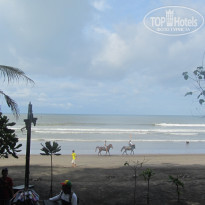 фото из отзыва ID 309512