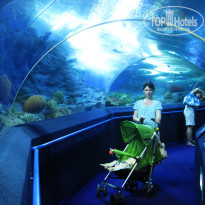 фото из отзыва ID 309535