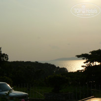 фото из отзыва ID 309722