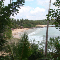 фото из отзыва ID 309735