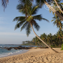 фото из отзыва ID 309735