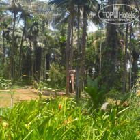 фото из отзыва ID 309980