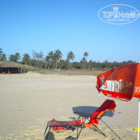 фото из отзыва ID 309980