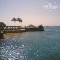 фото из отзыва ID 31034