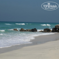 фото из отзыва ID 310017