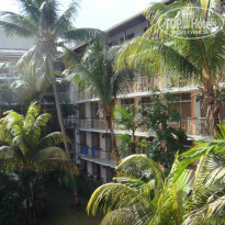 фото из отзыва ID 310065