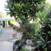 фото из отзыва ID 310705