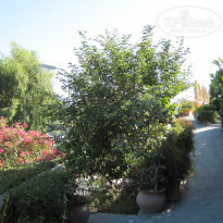 фото из отзыва ID 310705