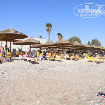 фото из отзыва ID 310804