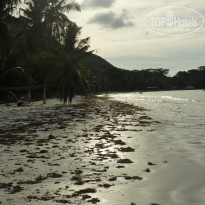 фото из отзыва ID 310983