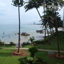 фото из отзыва ID 311084