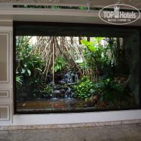 фото из отзыва ID 311084