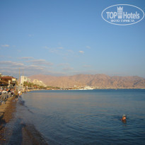 фото из отзыва ID 311550