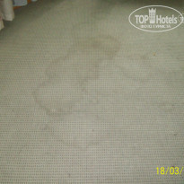 фото из отзыва ID 311568