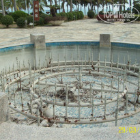 фото из отзыва ID 311568