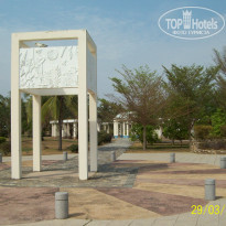 фото из отзыва ID 311568