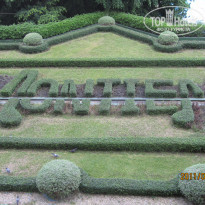 фото из отзыва ID 311855