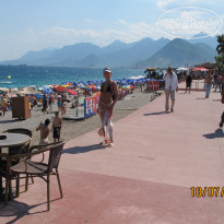 фото из отзыва ID 312474