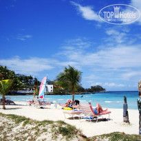 фото из отзыва ID 312510