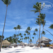 фото из отзыва ID 312582