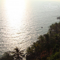 фото из отзыва ID 312690