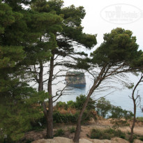 фото из отзыва ID 312698