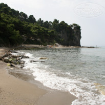 фото из отзыва ID 312698