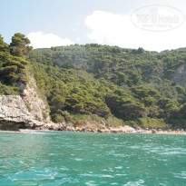 фото из отзыва ID 312698