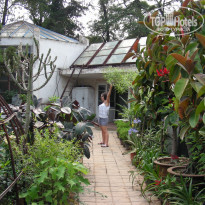 фото из отзыва ID 313138