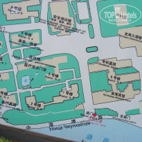 фото из отзыва ID 313138