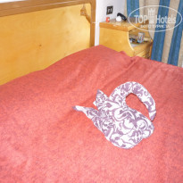 фото из отзыва ID 313330