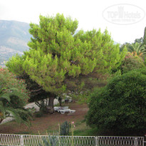 фото из отзыва ID 313425