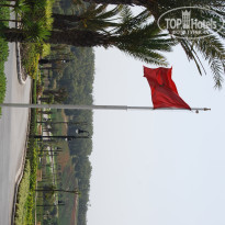 фото из отзыва ID 313632