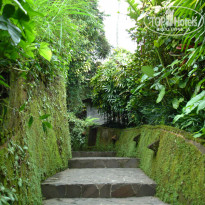 фото из отзыва ID 313807