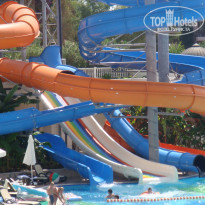 фото из отзыва ID 313809