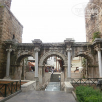 фото из отзыва ID 313951